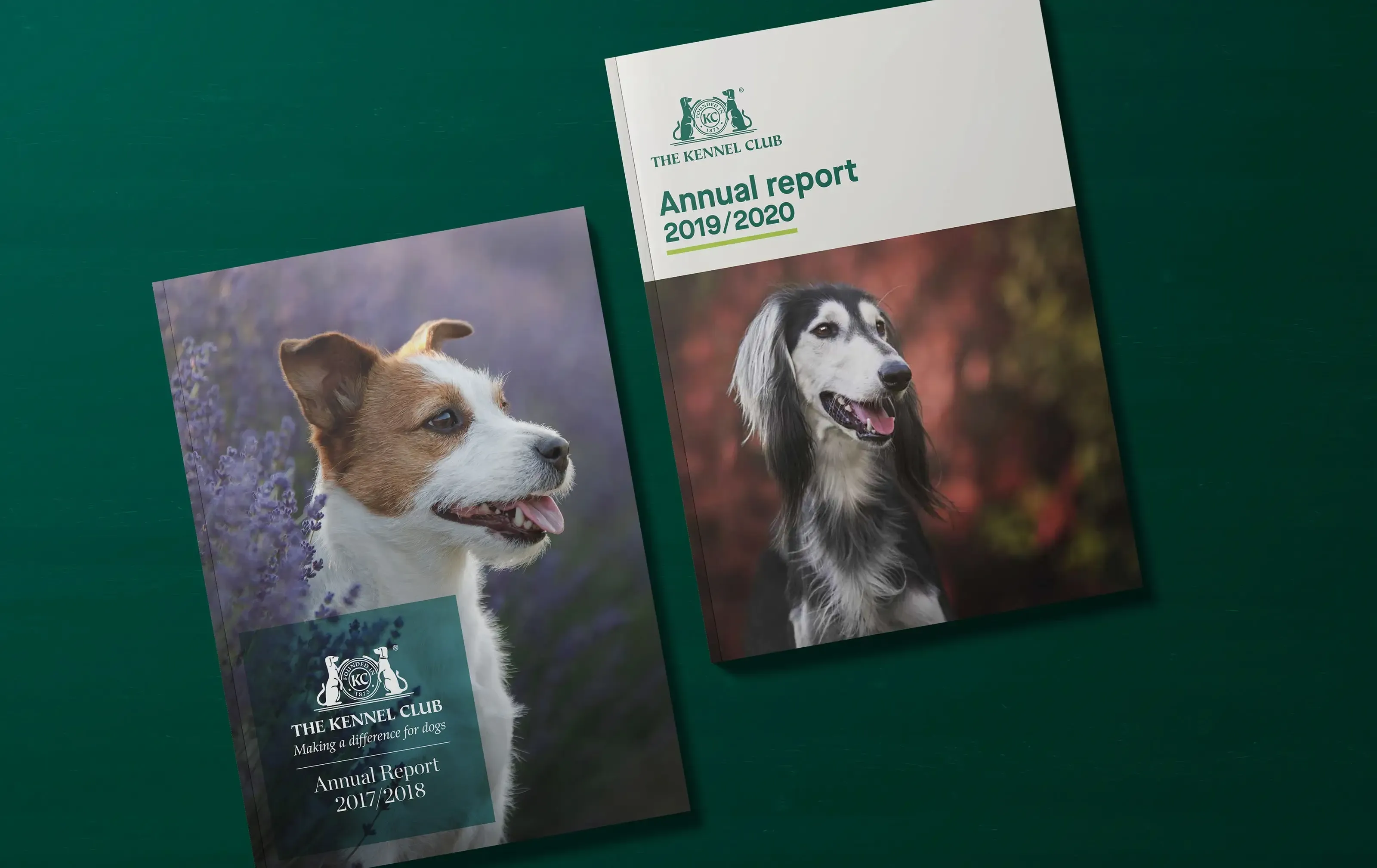 23-Red-Giant-Slider-The-Kennel-Club-Brochure-Mockup